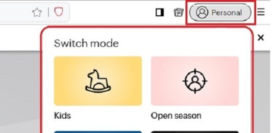 Navegador Privado Seguro Gratuito con Modo Niños, sin precarga de DNS Navegador Privado Seguro Gratuito con Modo Niños, sin precarga de DNS